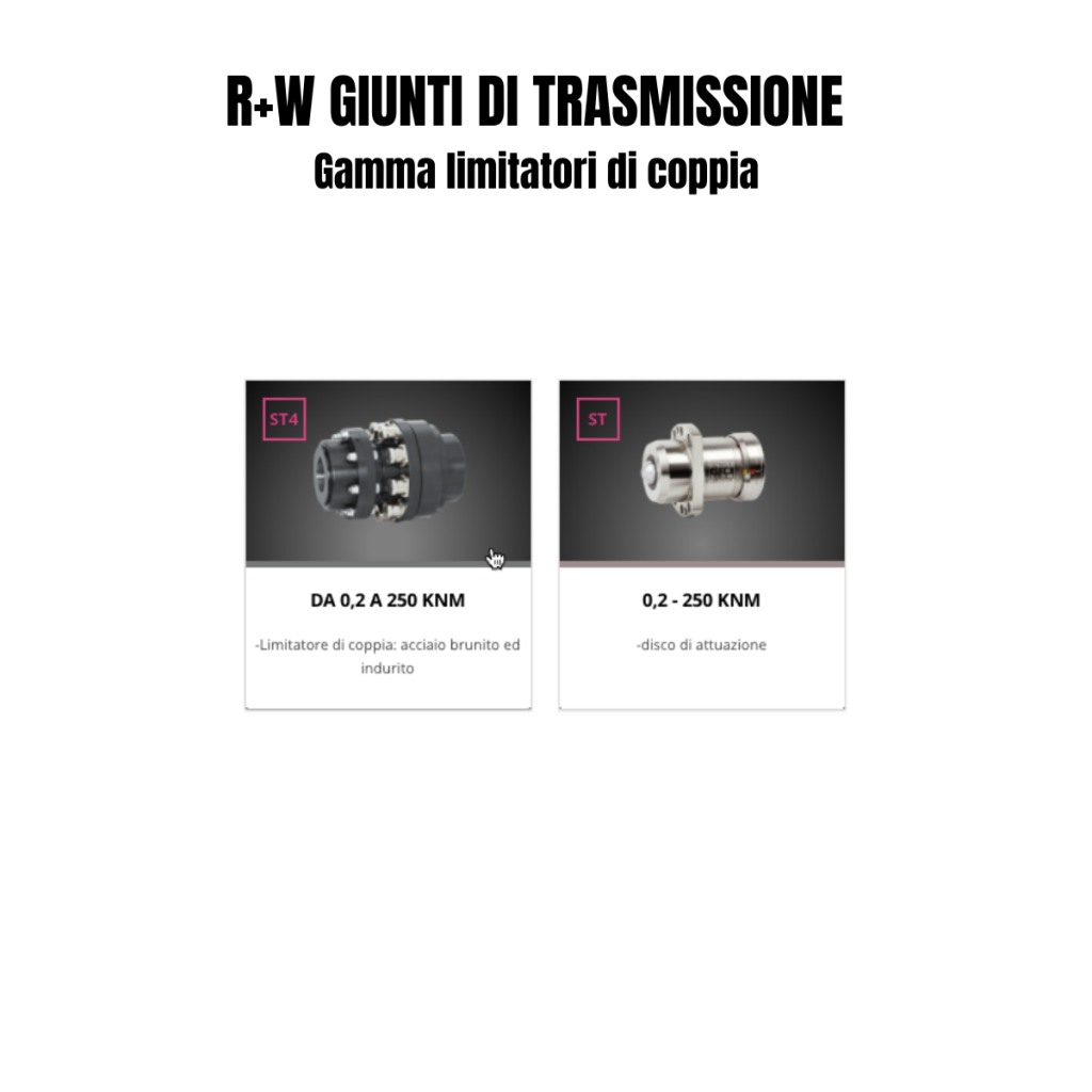 R+W GIUNTI DI TRASMISSIONE limitatori di coppia