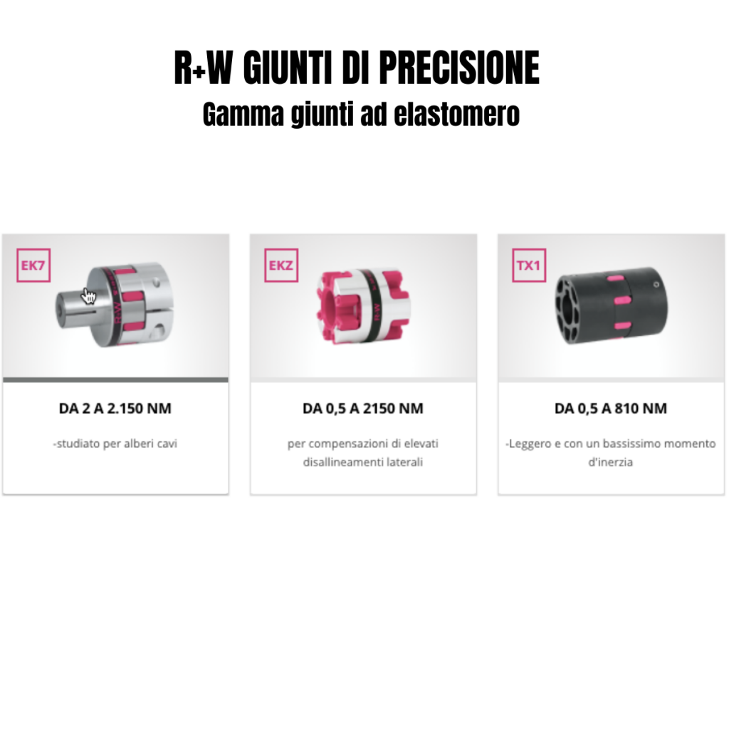 R+W GIUNTI DI PRECISIONE ad elastomero