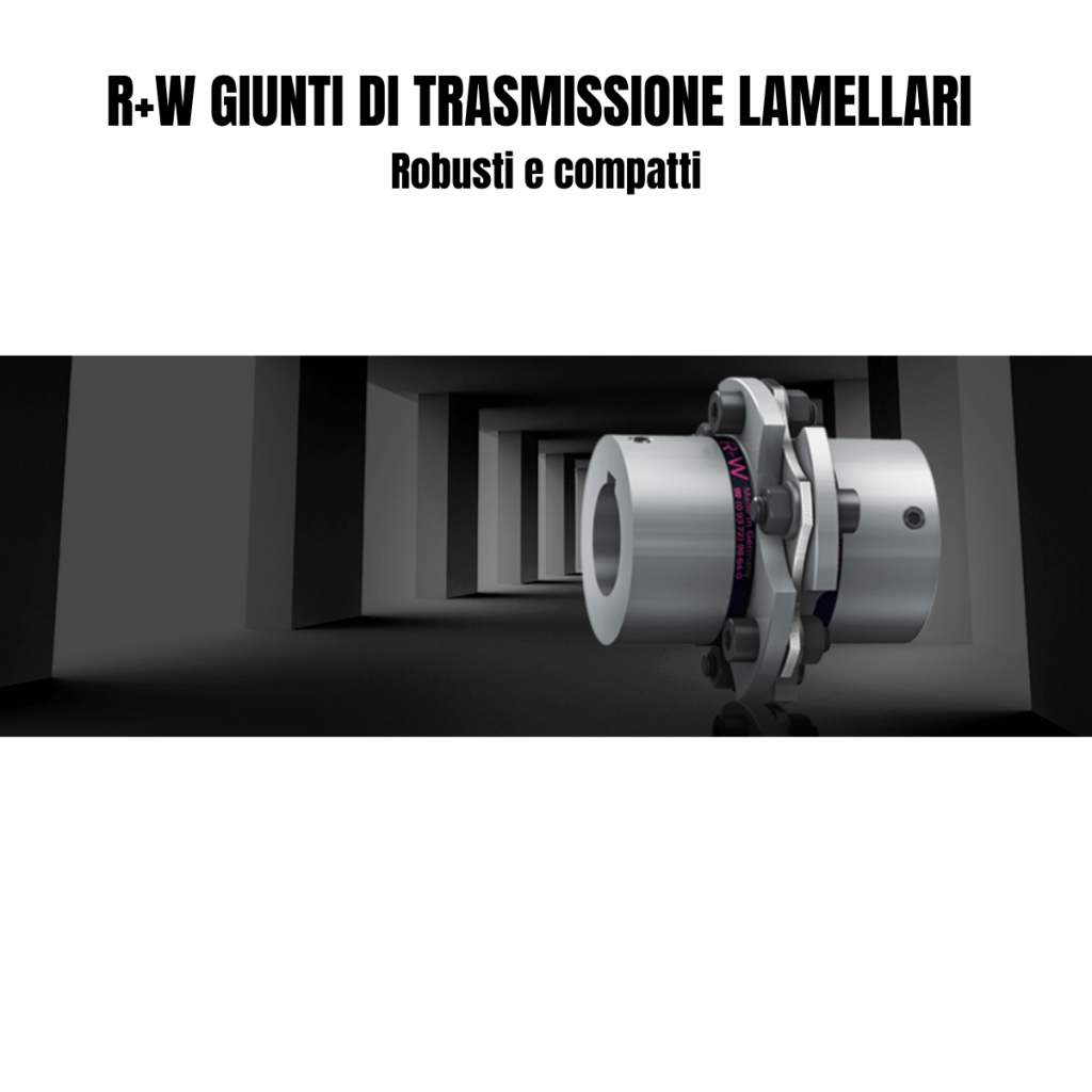 R+W GIUNTI DI TRASMISSIONE lamellari