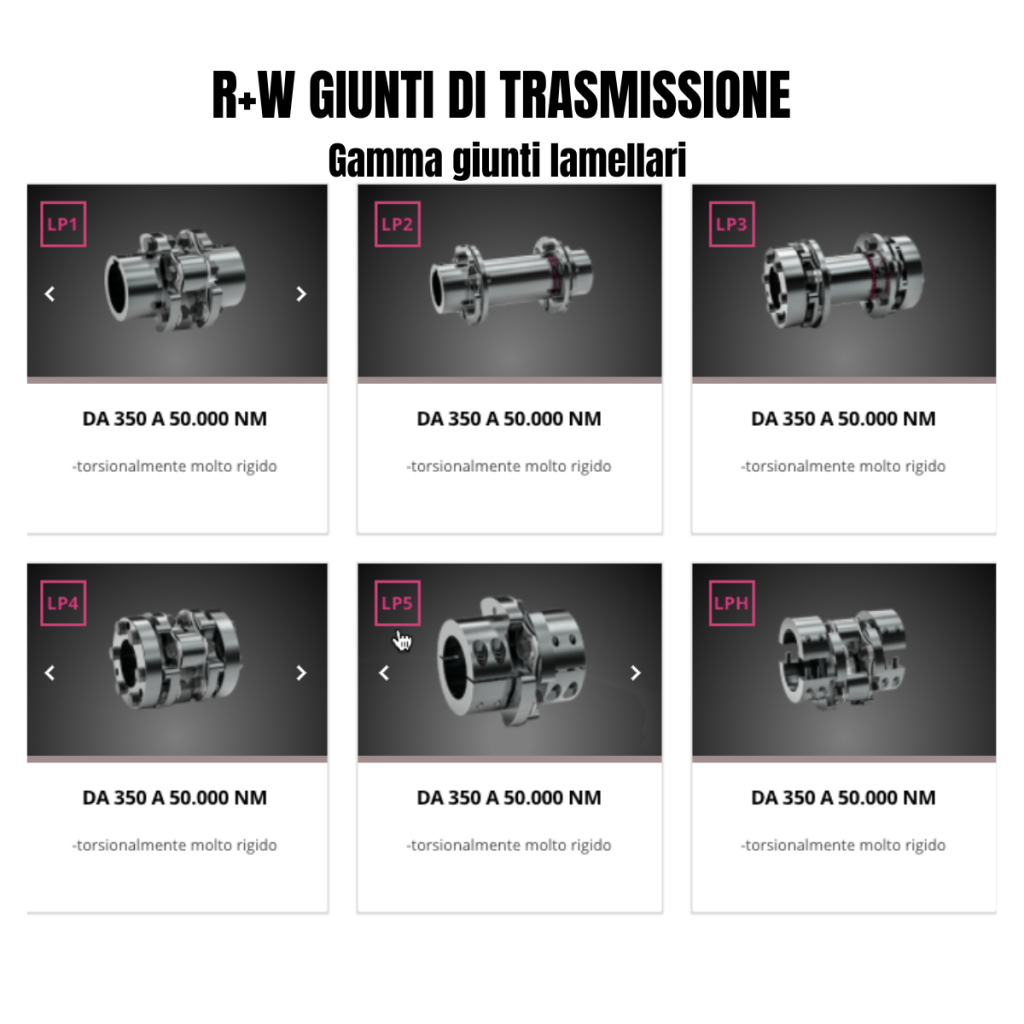 R+W GIUNTI DI TRASMISSIONE lamellari