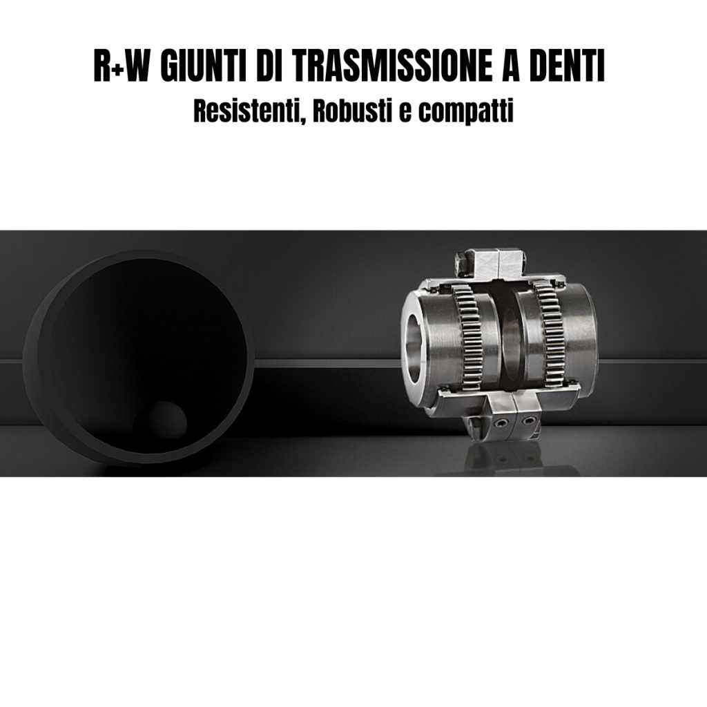 R+W GIUNTI DI TRASMISSIONE a denti