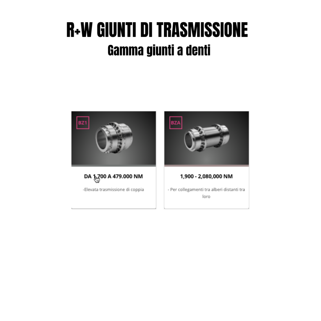 R+W GIUNTI DI TRASMISSIONE a denti